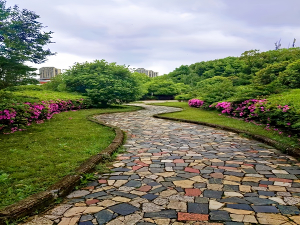 ������˼���Ρ�������԰��ϵ�ڡ�һվʽ��ѧ�������ɹ��ٰ조������֮����׽԰��֮�ϡ�������Ӱ����